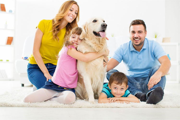 Happy family with dog at home