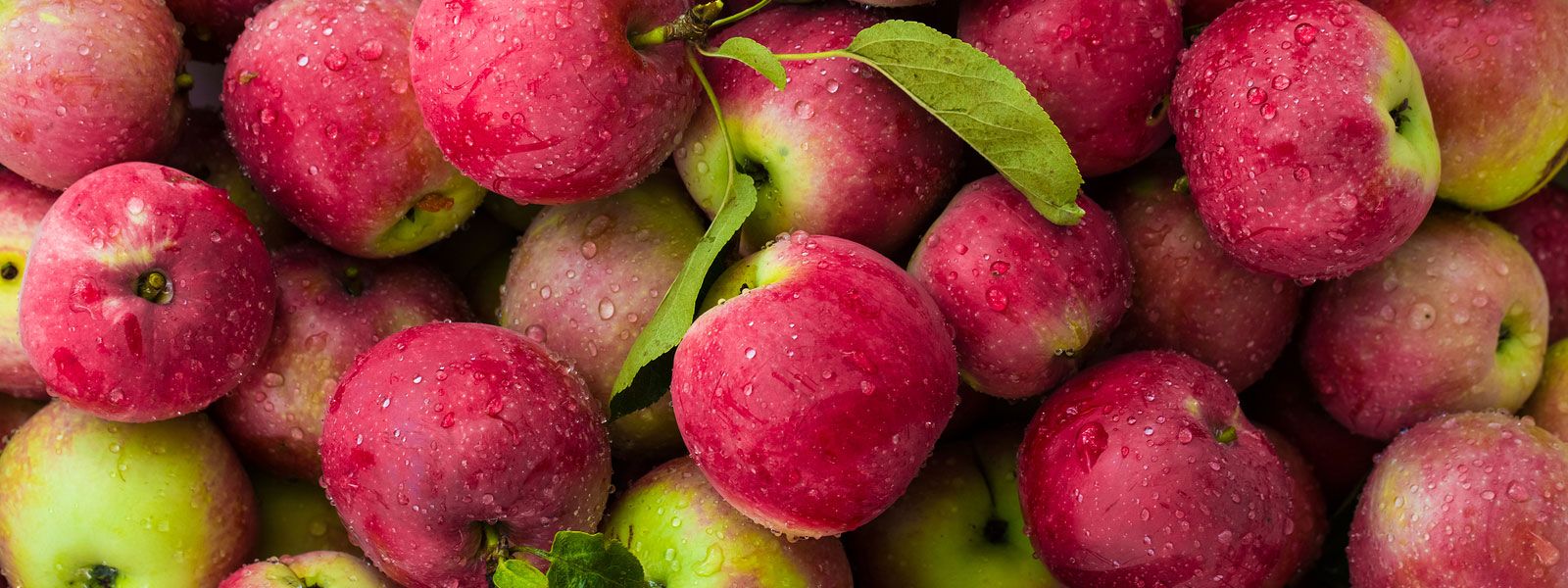 Safety in Food Processing Plants with Better CIP Technology!